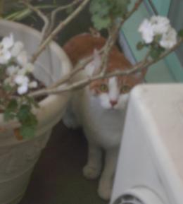 見られてます