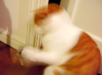 激しくっ