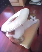 助かったわ～