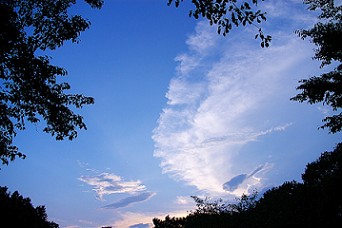 遠雷