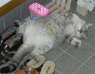 満足げ