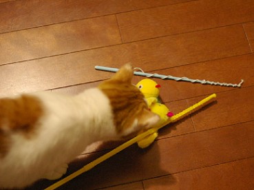 チェック