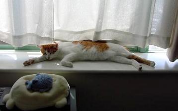 冷却中