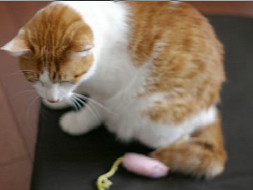 じりじり