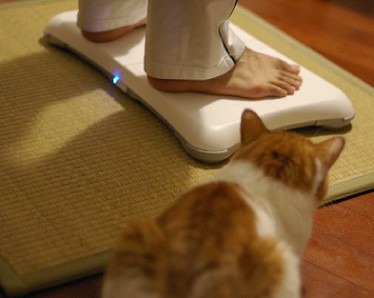wii　fit