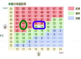 体脂肪表