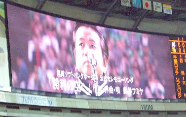 yahoo5