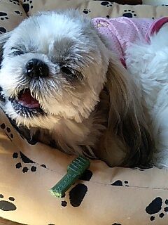なかなかじゃん