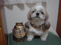 ツーショット