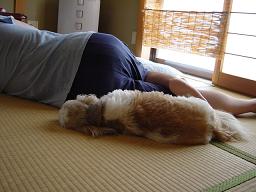 パパと一緒に　zzzz ・・・