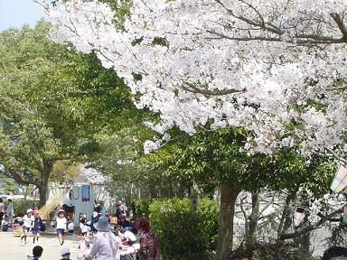 花見遠足