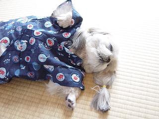 やめて！眠たいの！