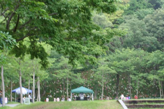 ＩＺＡＮＡＧＩさん