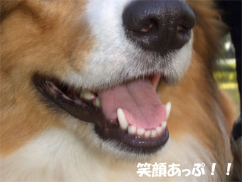 ega