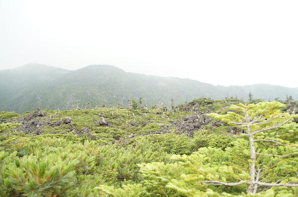 DSC00180.JPG
