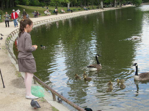 france2011juin 461.jpg