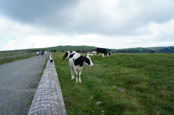 DSC00270.JPG