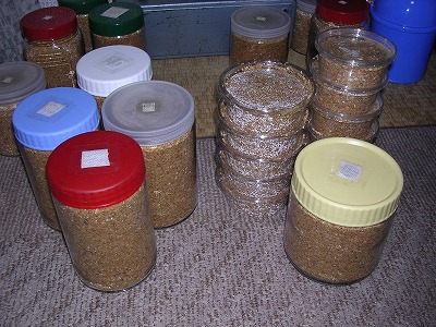 エクシードクラフト