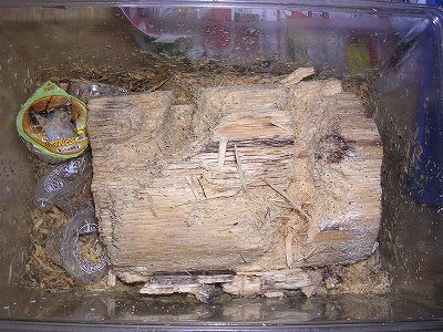 富士宮マツノ2次セット