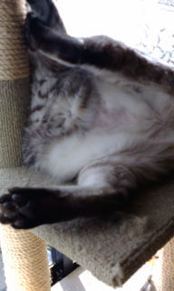 20071028085928.jpg