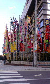 20080305142427.jpg