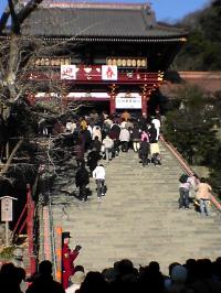 鶴岡八幡宮.jpg