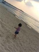 海辺の散歩
