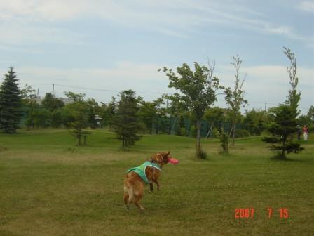 川下公園2　キャッチ成功！.JPG