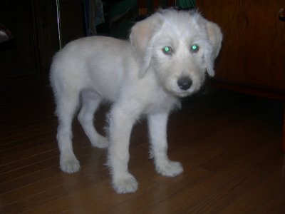 もうすぐ３ヶ月