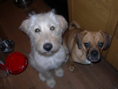 何かちょうだい２