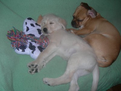 １月３０日今日の二人