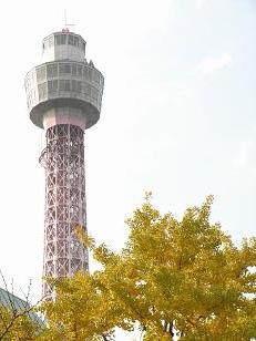 マリンタワーと銀杏