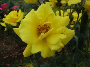 R0014969.JPG