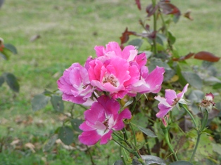R0014991.JPG