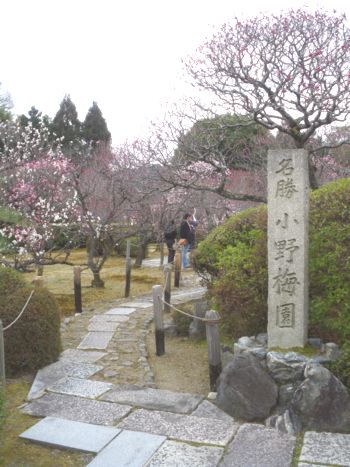 小野梅園