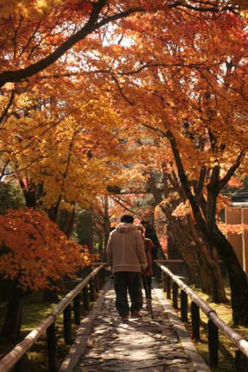 石畳の参道