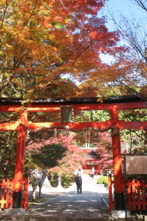 大原野神社の紅葉