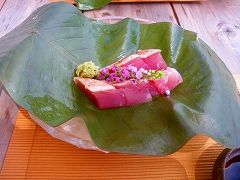 maguro