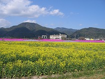 s-IMG_8785.jpg