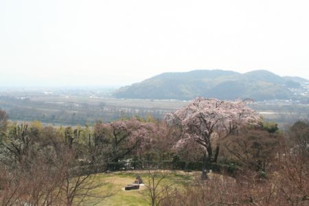 山荘からの眺め