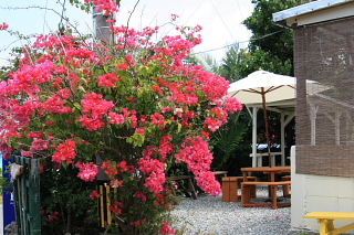 conv0020.jpg