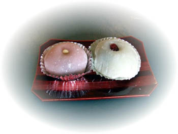 2009_01310002-2.jpg
