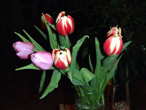 2009_02010001.jpg