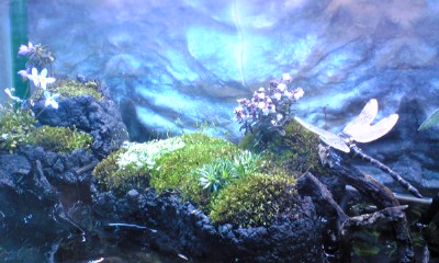 080302_203626.jpg