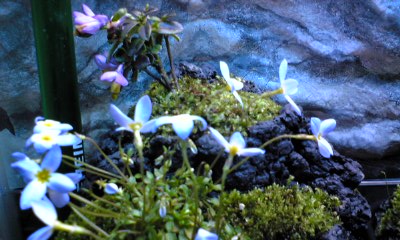 080302_203947.jpg