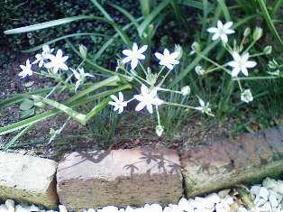 201004281208000.jpg