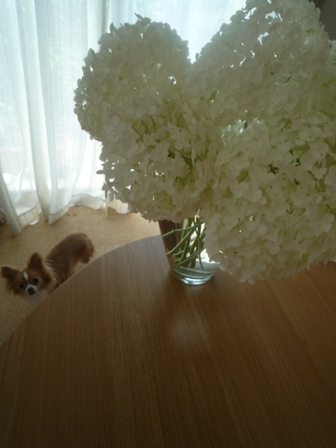 P1000941.JPG