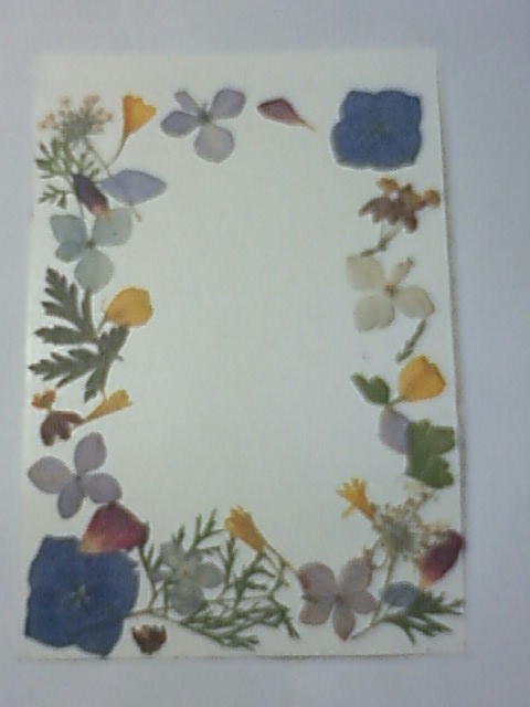 2009夏休み　押し花の葉書.jpg