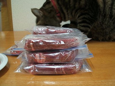 保存用