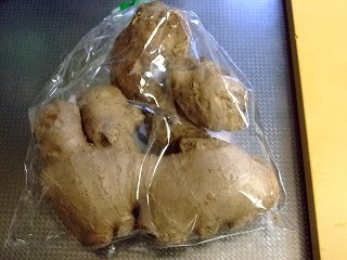 ショウガ